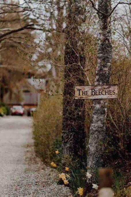 The Beeches Studio, Highlands Of Scotland Newtonmore Zewnętrze zdjęcie